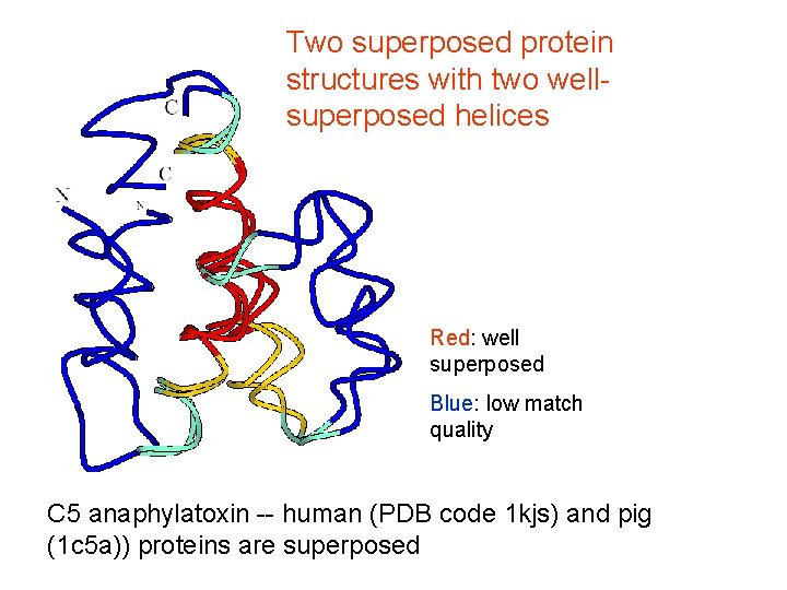 Two superposed protein structures with two wellsuperposed helices Red: well superposed Blue: low match