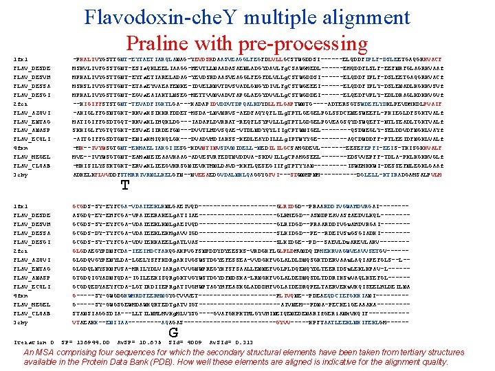 Flavodoxin-che. Y multiple alignment Praline with pre-processing 1 fx 1 FLAV_DESDE FLAV_DESVH FLAV_DESSA FLAV_DESGI