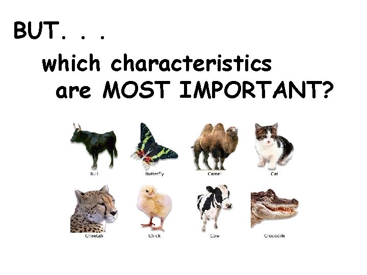 BUT. . . which characteristics are MOST IMPORTANT? 