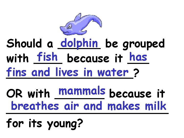 dolphin be grouped Should a ______ fish because it ___ has with ____ fins