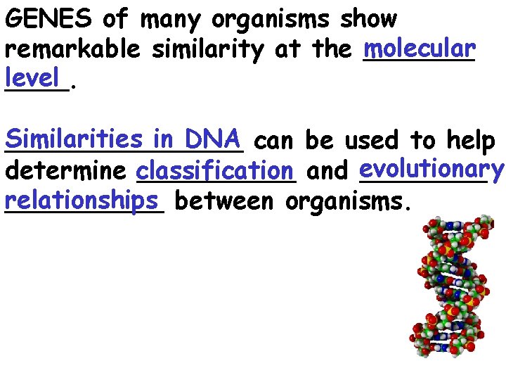 GENES of many organisms show remarkable similarity at the molecular _______ level ____. Similarities