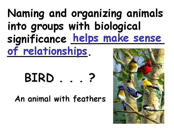 Naming and organizing animals into groups with biological helps make sense significance _______ of