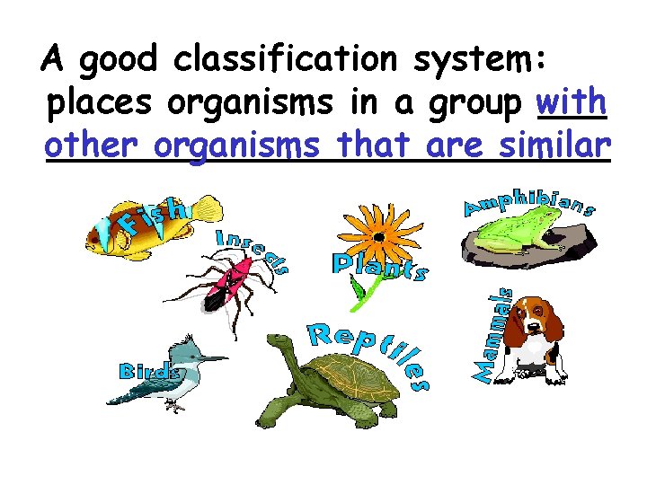 A good classification system: places organisms in a group with ______________ other organisms that