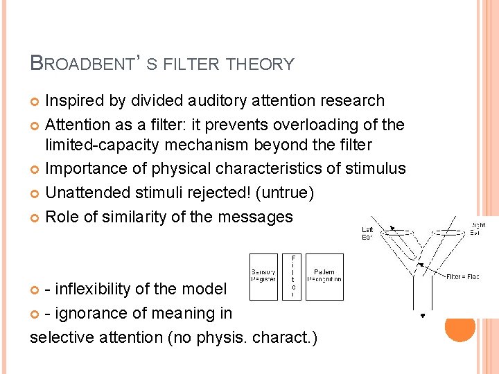 BROADBENT’ S FILTER THEORY Inspired by divided auditory attention research Attention as a filter: