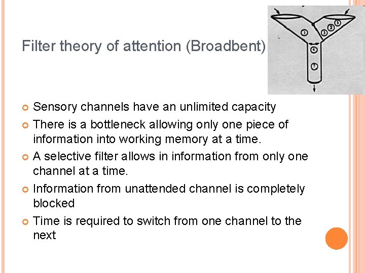 Filter theory of attention (Broadbent) Sensory channels have an unlimited capacity There is a