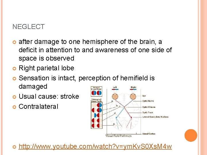 NEGLECT after damage to one hemisphere of the brain, a deficit in attention to