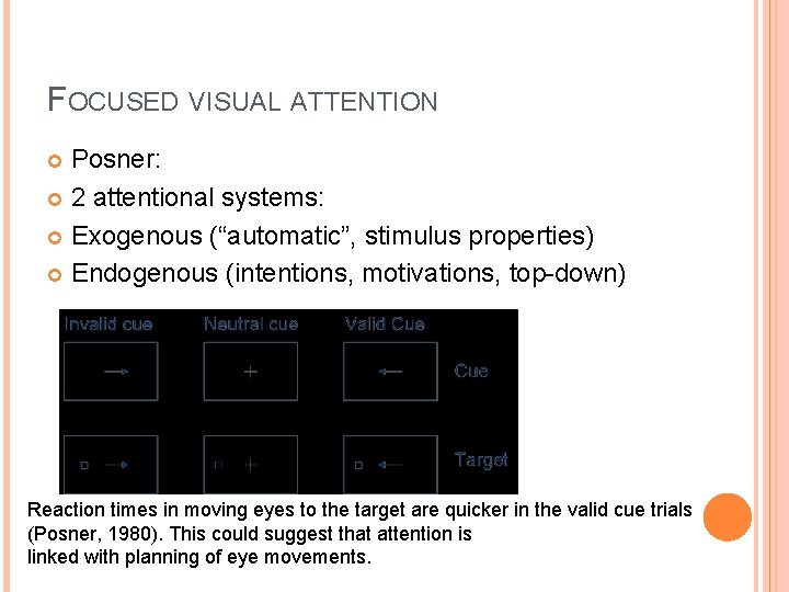 FOCUSED VISUAL ATTENTION Posner: 2 attentional systems: Exogenous (“automatic”, stimulus properties) Endogenous (intentions, motivations,