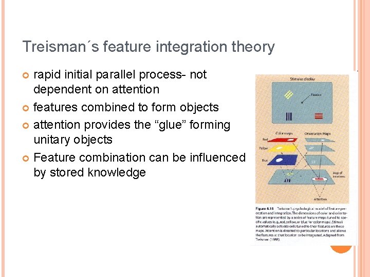 Treisman´s feature integration theory rapid initial parallel process- not dependent on attention features combined