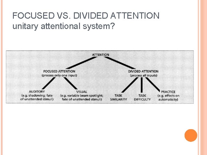 FOCUSED VS. DIVIDED ATTENTION unitary attentional system? 