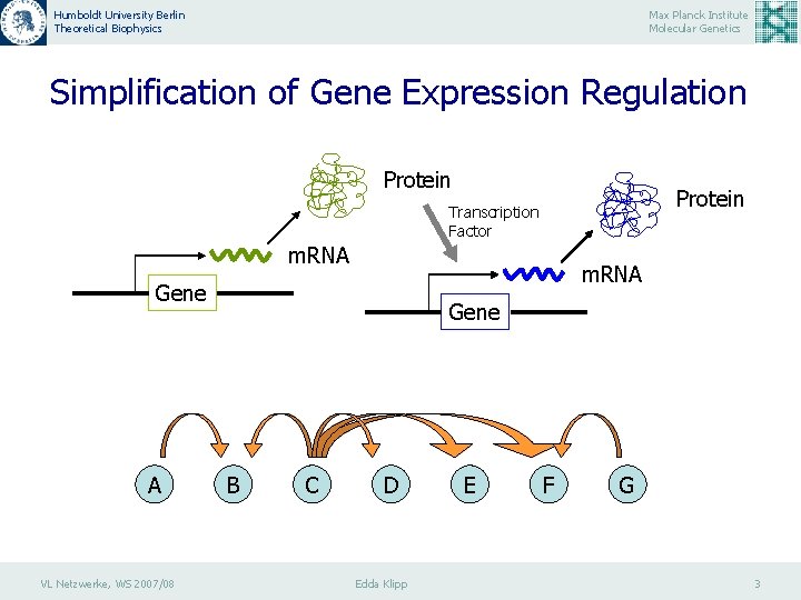 Humboldt University Berlin Theoretical Biophysics Max Planck Institute Molecular Genetics Simplification of Gene Expression