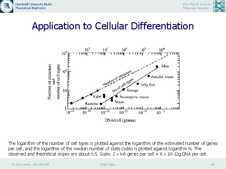 Humboldt University Berlin Theoretical Biophysics Max Planck Institute Molecular Genetics Application to Cellular Differentiation