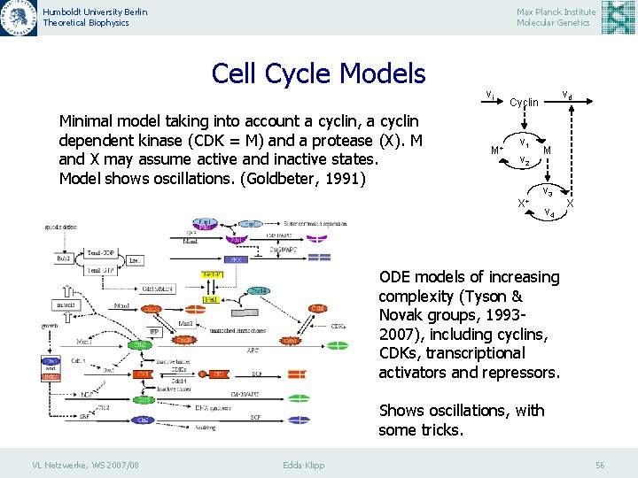 Humboldt University Berlin Theoretical Biophysics Max Planck Institute Molecular Genetics Cell Cycle Models Minimal