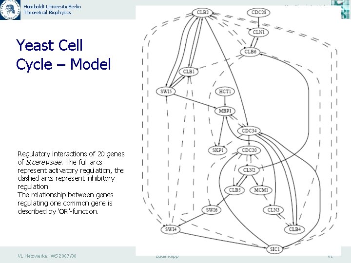 Humboldt University Berlin Theoretical Biophysics Max Planck Institute Molecular Genetics Yeast Cell Cycle –