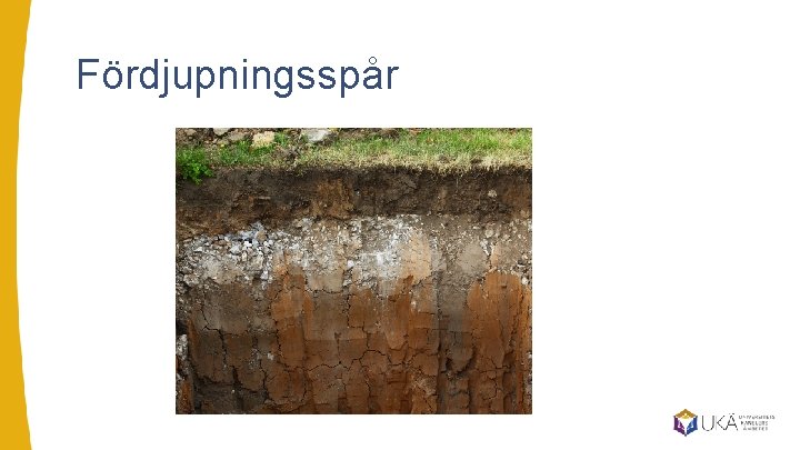 Fördjupningsspår 