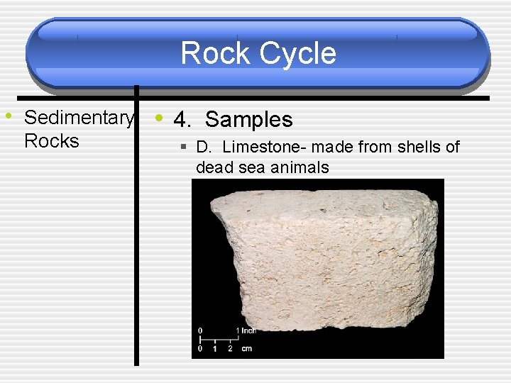 Rock Cycle • Sedimentary • 4. Samples Rocks § D. Limestone- made from shells