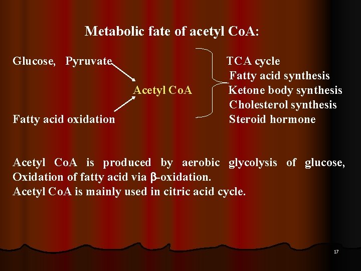 Metabolic fate of acetyl Co. A: Glucose, Pyruvate Acetyl Co. A Fatty acid oxidation