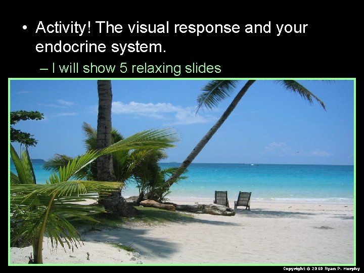  • Activity! The visual response and your endocrine system. – I will show
