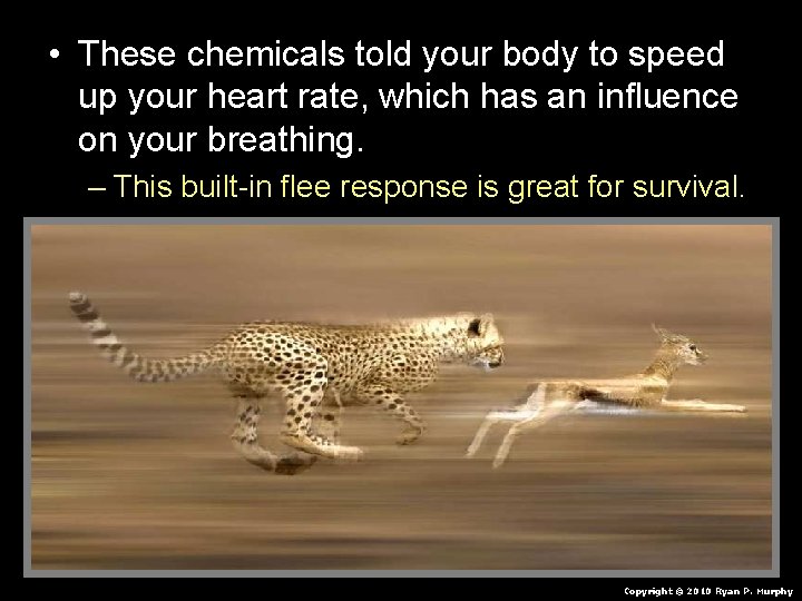  • These chemicals told your body to speed up your heart rate, which