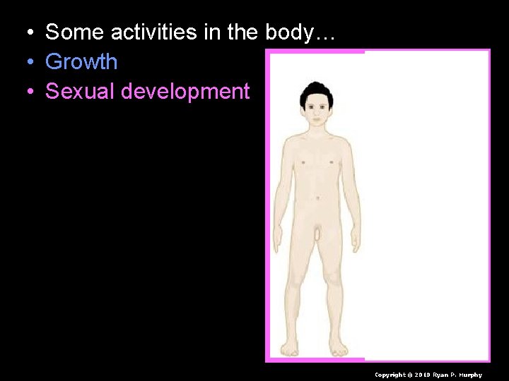  • • • Some activities in the body… Growth Sexual development Reproductive cycle