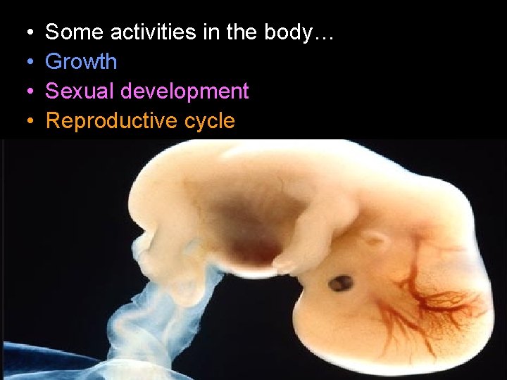  • • • Some activities in the body… Growth Sexual development Reproductive cycle