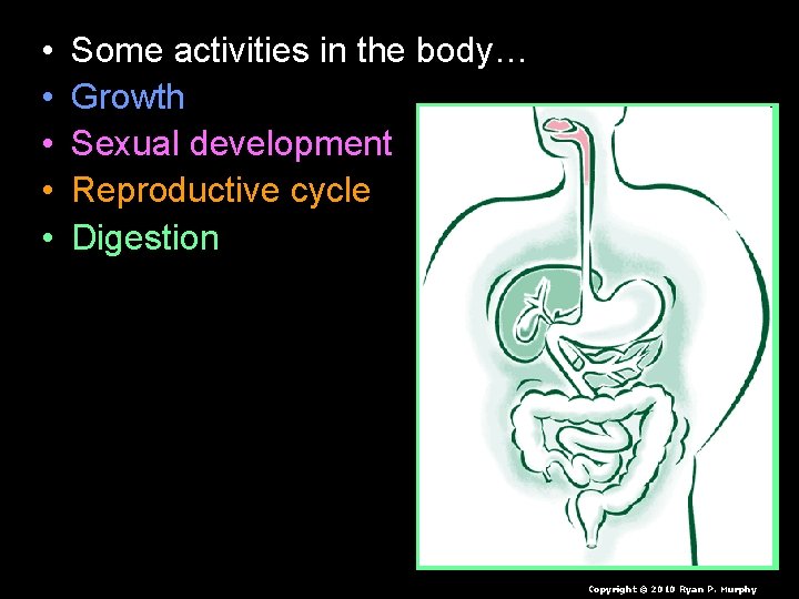  • • • Some activities in the body… Growth Sexual development Reproductive cycle