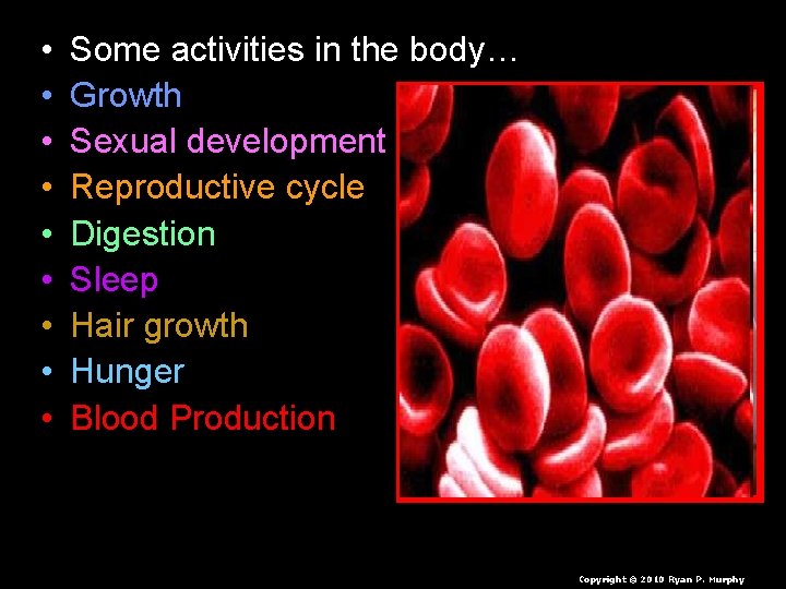  • • • Some activities in the body… Growth Sexual development Reproductive cycle