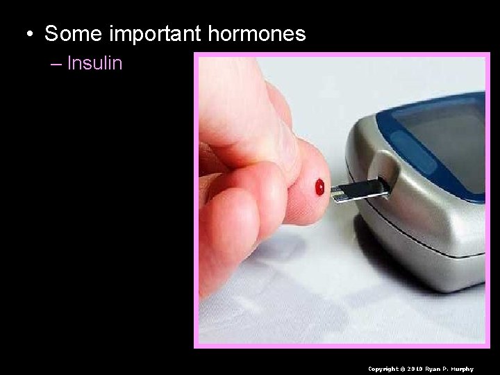  • Some important hormones – Insulin – Testosterone – Estrogen – Adrenaline •