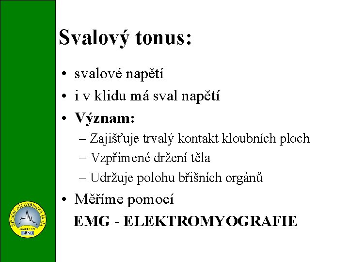 Svalový tonus: • svalové napětí • i v klidu má sval napětí • Význam: