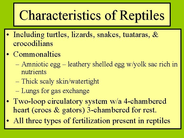 Characteristics of Reptiles • Including turtles, lizards, snakes, tuataras, & crocodilians • Commonalties –