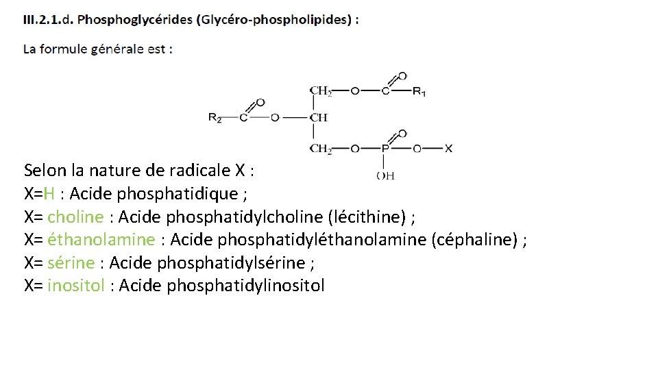 Selon la nature de radicale X : X=H : Acide phosphatidique ; X= choline
