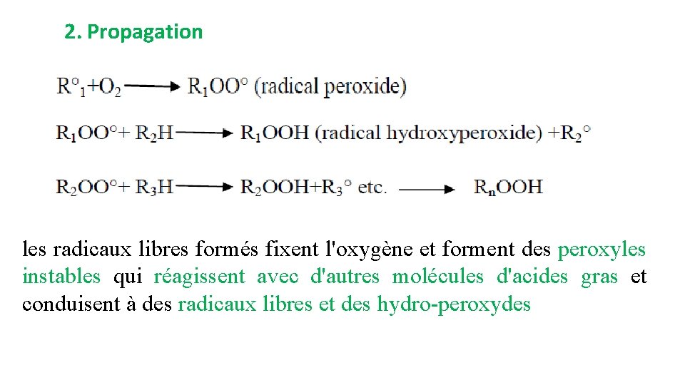 2. Propagation les radicaux libres formés fixent l'oxygène et forment des peroxyles instables qui