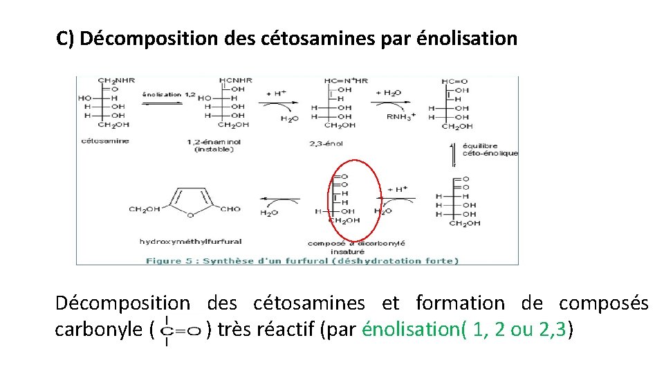 C) Décomposition des cétosamines par énolisation Décomposition des cétosamines et formation de composés carbonyle