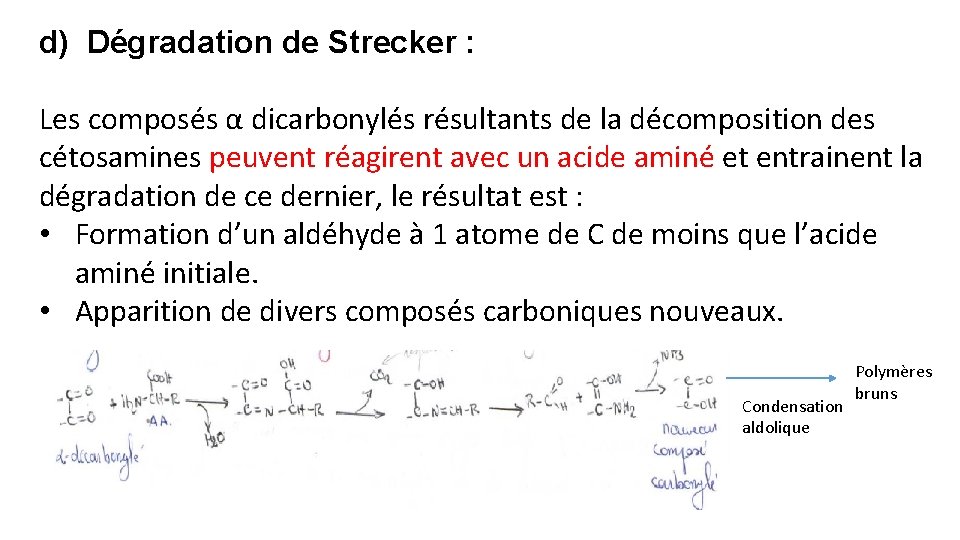 d) Dégradation de Strecker : Les composés α dicarbonylés résultants de la décomposition des