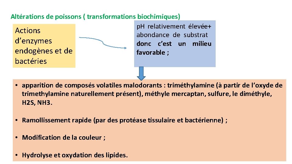 Altérations de poissons ( transformations biochimiques) p. H relativement élevée+ Actions abondance de substrat