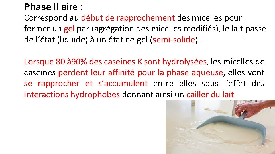 Phase II aire : Correspond au début de rapprochement des micelles pour former un