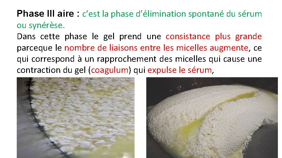 Phase III aire : c’est la phase d’élimination spontané du sérum ou synérèse. Dans