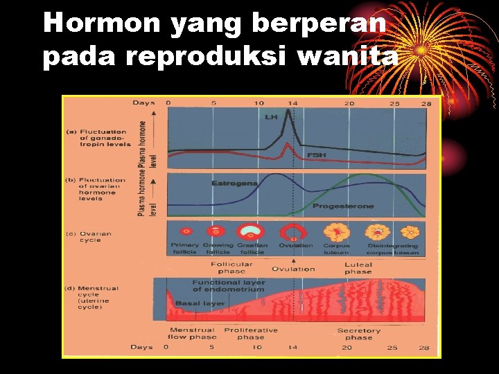 Hormon yang berperan pada reproduksi wanita 