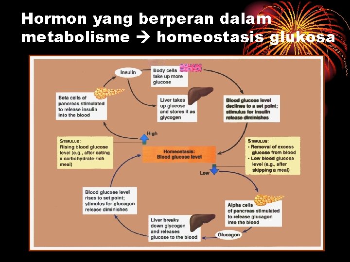 Hormon yang berperan dalam metabolisme homeostasis glukosa 