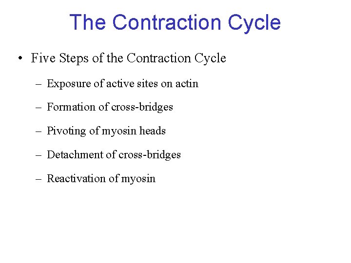 The Contraction Cycle • Five Steps of the Contraction Cycle – Exposure of active