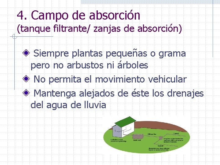 4. Campo de absorción (tanque filtrante/ zanjas de absorción) Siempre plantas pequeñas o grama