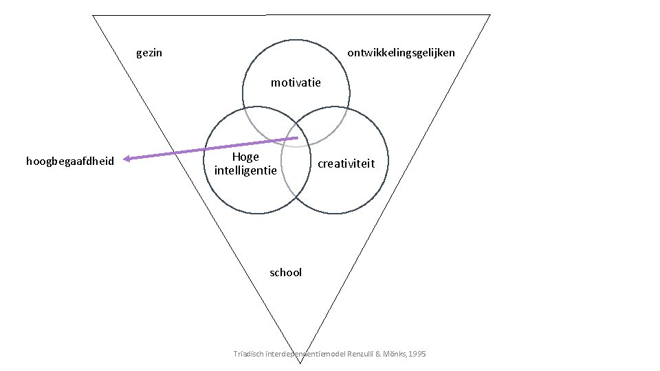 gezin ontwikkelingsgelijken motivatie hoogbegaafdheid Hoge intelligentie creativiteit school Triadisch interdependentiemodel Renzulli & Mönks, 1995