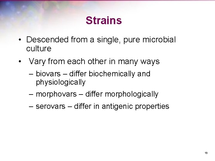 Strains • Descended from a single, pure microbial culture • Vary from each other