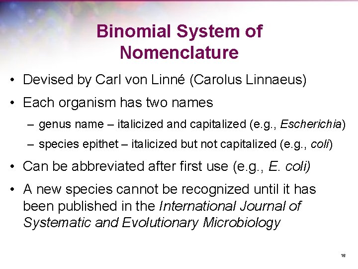 Binomial System of Nomenclature • Devised by Carl von Linné (Carolus Linnaeus) • Each