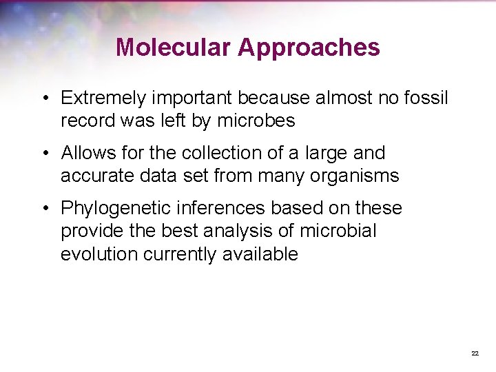 Molecular Approaches • Extremely important because almost no fossil record was left by microbes