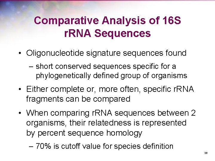 Comparative Analysis of 16 S r. RNA Sequences • Oligonucleotide signature sequences found –