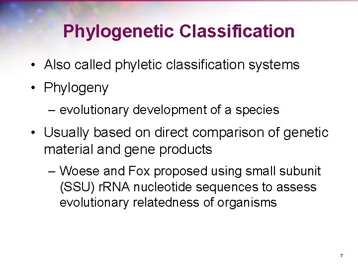Phylogenetic Classification • Also called phyletic classification systems • Phylogeny – evolutionary development of