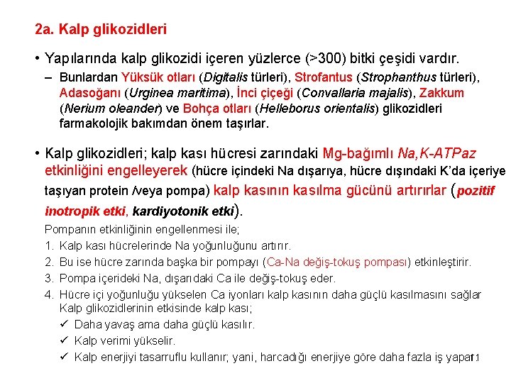 2 a. Kalp glikozidleri • Yapılarında kalp glikozidi içeren yüzlerce (>300) bitki çeşidi vardır.