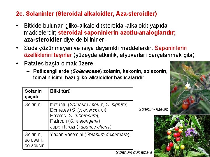 2 c. Solaninler (Steroidal alkaloidler, Aza-steroidler) • Bitkide bulunan gliko-alkaloid (steroidal-alkaloid) yapıda maddelerdir; steroidal