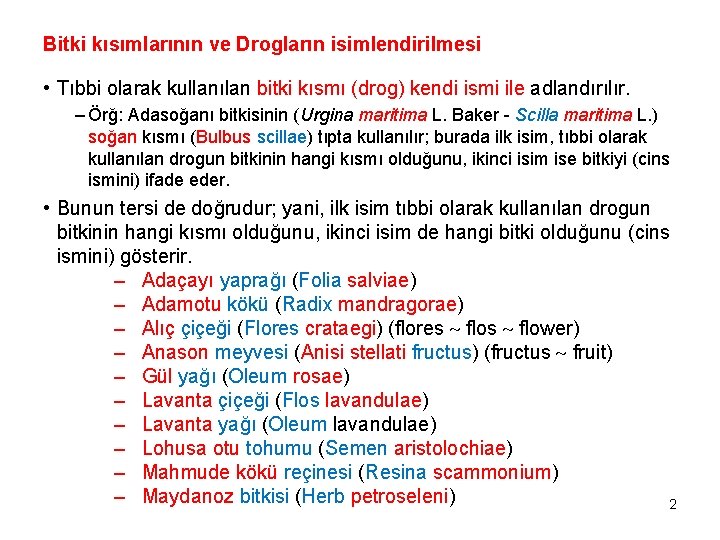 Bitki kısımlarının ve Drogların isimlendirilmesi • Tıbbi olarak kullanılan bitki kısmı (drog) kendi ismi