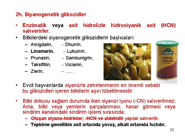 2 h. Siyanogenetik glikozidler • Enzimatik veya asit hidrolizle hidrosiyanik salıverirler. • Bitkilerdeki siyanogenetik